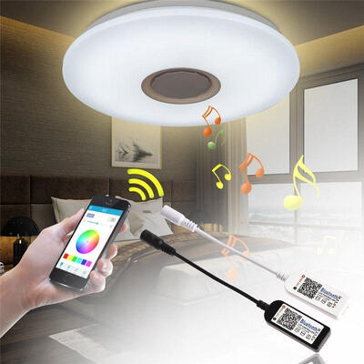 

New Fashion 2 colors 5050 3528 Strip Bluetooth LED Controller RGBRGBW Light for iOS Android APP