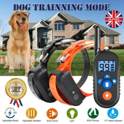 

300M Rechargeable Dog Pet Training Collar Remote Control Waterproof IP67 HOT