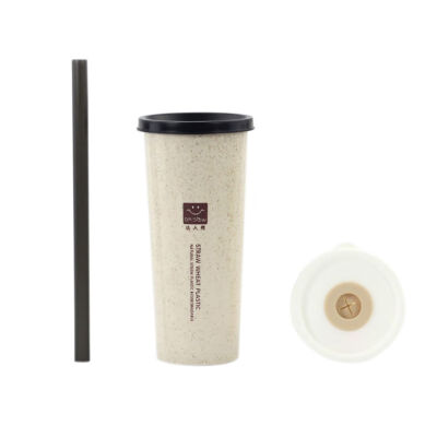 

450ml Nordic Style Water Bottle With A Drinking Straw Wheat Straw Water Bottle BPA Outdoor School Creative Eco-Friendly Bottle