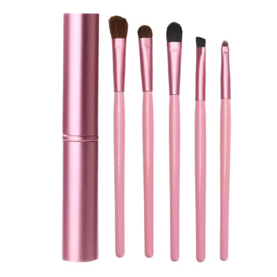 

5pcs Eye Makeup Brushes Set Eyeshadow Eyeliner Tool Kit With Round Tube