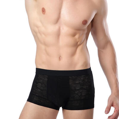 

Ice Silk Underwear Breathable Underpants Sexy Ultra-thin Summer Men Underwear Man Panties