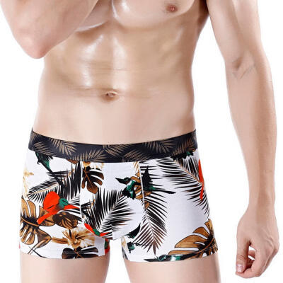 

Mens Print Boxer Briefs Quick-Dry Breathable Pouch Underwear