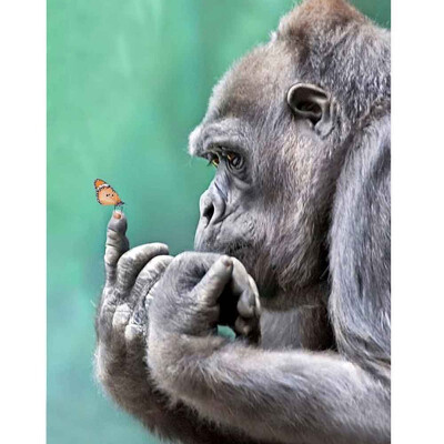 

Diamond Painting Orangutan Embroidery Full Mosaic Layout Square Drill Complete Kit Rhinestone Bead Picture