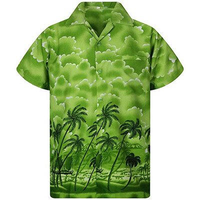 

Toponeto Mens Summer Casual Button Hawaii Print Beach Short Sleeve Quick Dry Top Blouse