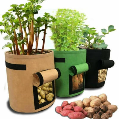 

Potato plant bag plant pot potato planting plant bag plant bag balcony