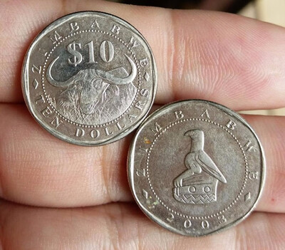 

21mm Zimbabwe Bird 10 Dollars Coin Africa Used Condtion