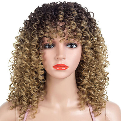 

African Small Curl Gradient Ramp Wig