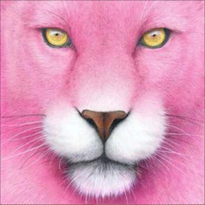 

5D Diamond Painting DIY Semi-finished Animals Theme Lion Tiger Cat Pink Pink Black&White Home Decor Office Bedroom Living Ro