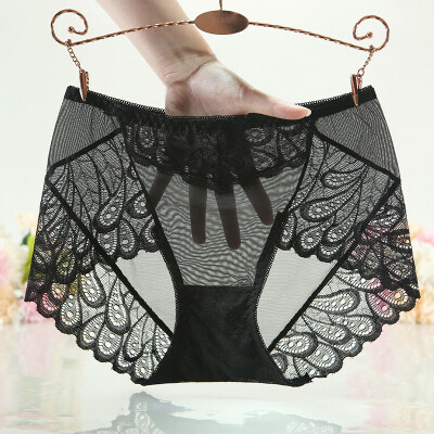 

Women Elastic Sexy Briefs See-through Lace Middle Waist Soft Breathable Knickers