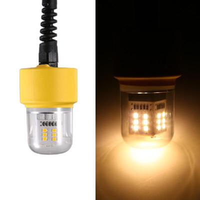 

12V 15W 36 LEDs Underwater Night Fishing Light Submersible LED Lamp Bait Squid Fish Attracting Light Fish Finder Light with 55M C