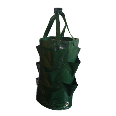 

Siaonvr Multi-mouth Container Bag Grow Planter Pouch Root Plant Growing Pot Side