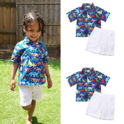 

US Newborn Baby Boys Girls Dinosaur Floral Tops Shirts Short Pants Set Outfits