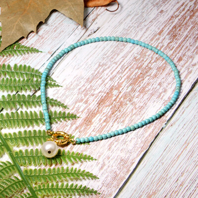 

Colorful Seed Beads Choker for Women Fashion Trendy Gold Bohemian Summer pearl Chic Bib Collier Femme Cowrie Shell Necklace 2019