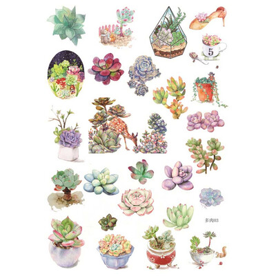 

3 Sheets Succulent Plants Mini Label Sticker Decoration DIY Diary Scrapbooking