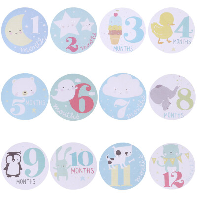 

Baby Monthly Photograph Stickers Month 1-12 Milestone Stickers