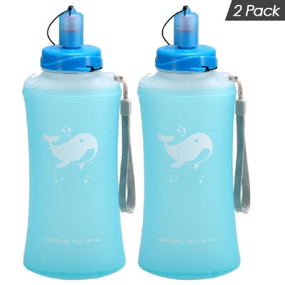 

2 Pack 750ml Soft Hydration Flask Ultralight Outdoor Camping Hiking Foldable Water Bottle