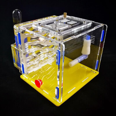 

DIY Antgranery Moisture Feeding Area Ant Farm Acryl Insect Villa Pet Advanced Mania For House Ants Birthday Present Gift