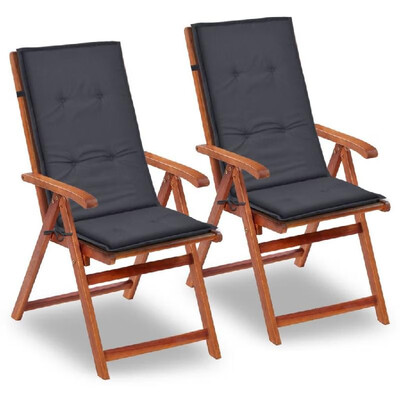 

Garden Chair Cushions 2 pcs Anthracite 472"x197"x118"