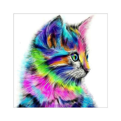 

5D DIY Full Drill Square Diamond Painting Color Cat Cross Stitch Embroidery