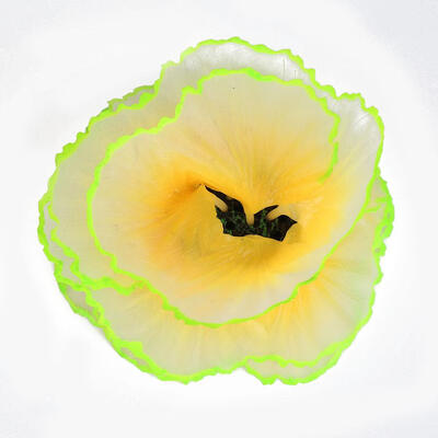 

Simulation Lettuce Coral Fake Artificial Underwater Plants Fish Tank Decor