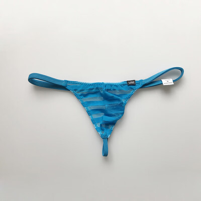 

Mens Thin Underwear Sexy See-through Lingerie Bikini Briefs Low Rise Knickers