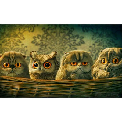 

5D DIY Diamond Painting Birds Family Cross Stitch Embroidery Mosaic Kits