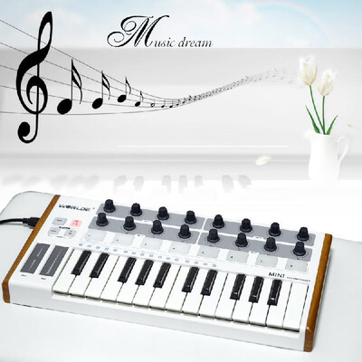 

Worlde Ultra-Portable Mini Professional 25-Key USB MIDI Drum Pad&Keyboard Controller