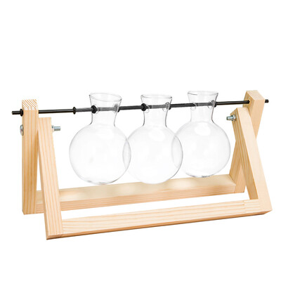 

Creative Hydroponics Plant Terrarium Wooden Stand