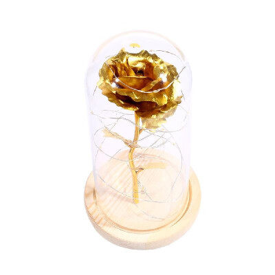 

Birthday Gift Beautiful Preserved Rose Flower LED Light with Glass Cover Wooden Base Valentines Day Wedding Gift