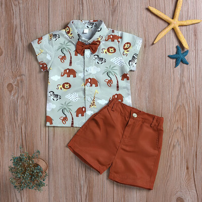 

Summer Children Baby Boys Casual Short Sleeve Cartoon Animal Print T-shirt TopsShorts Costume Set