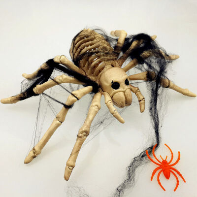 

Animal Skeleton Model BatSpiderScorpionLizard Bones Halloween Party Decoration