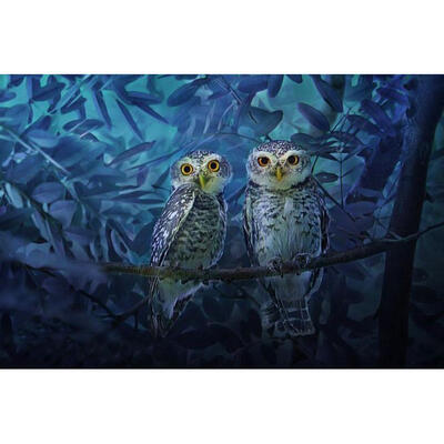 

5D DIY Full Drill Diamond Painting Standing Birds Cross Stitch Embroidery