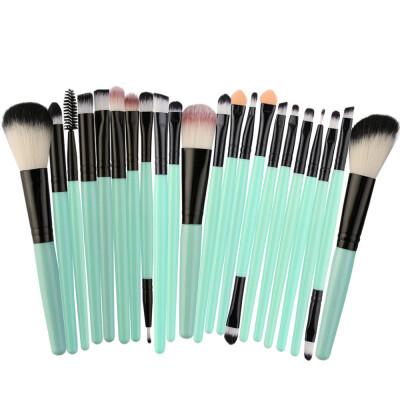 

Toponeto New 22pcs Cosmetic Makeup Brush Blusher Eye Shadow Brushes Set Kit CO