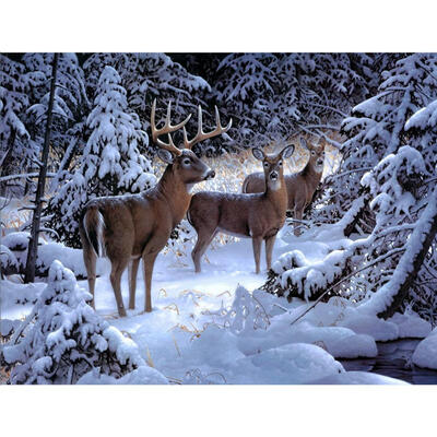 

5D DIY Diamond Painting Winter Snow Elk Cross Stitch Embroidery Mosaic Kit