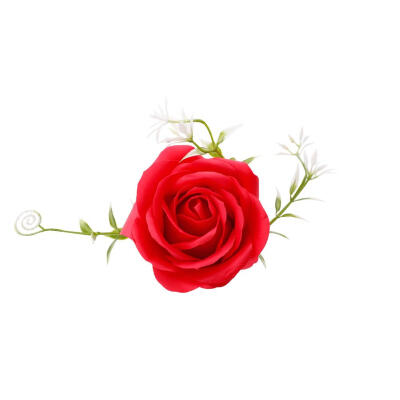 

Preserved Single Rose Soap Flower Gift Box Valentines Day Birthday Gifts