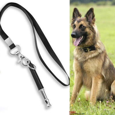 

whistle master favorite dog whistle stop bark bark control dog training deterrent New