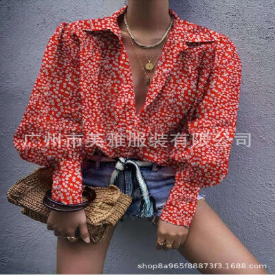 

Cross-border exclusive 2019 Amazon wish explosion womens shirt long-sleeved shirt Color