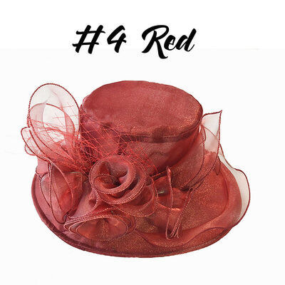 

Women Kentucky Derby Sun Hat Wide Brim Wedding Tea Party Church Organza Hats