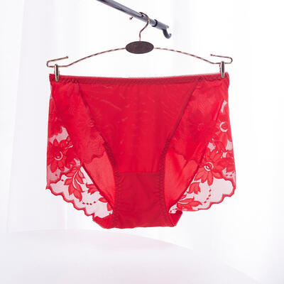 

Woman Panties Underwear Briefs Lady Sexy Lace Breathable Female Panties Underwear For Women Sexy Lace Briefs