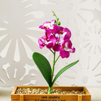 

Decoration Artificial Phalaenopsis Bonsai Bouquets DIY Craft Flower Mini Wedding