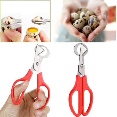 

Gobestart Pigeon Quail Egg Scissors Cracker Opener Cigar Cutter Stainless Steel Tool