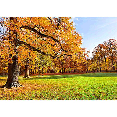 

5D DIY Full Drill Diamond Painting Autumn View Cross Stitch Embroidery Kits
