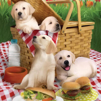 

5D DIY Full Drill Diamond Painting Dog Cross Stitch Embroidery Mosaic Craft