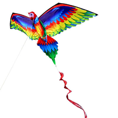 

3D Seagull Kite with Tail Kites for Adult Kids Outdoor Beach Park Flying Kite 100m Line