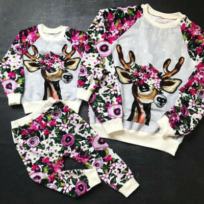 

Winter Sister Matching Set Baby Girls Tops Pullovers Floral Pants Outfit Clothes