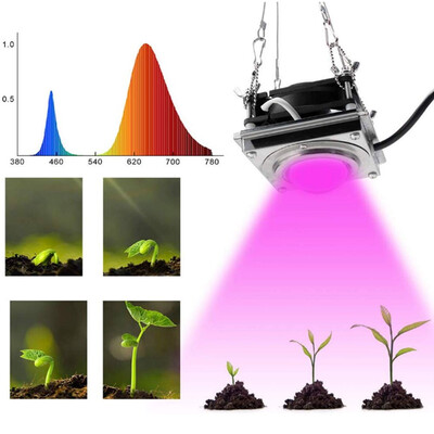 

〖Follure〗300W COB LED Plant Growth Light For Plant Flower Indoor Hydroponic Greenhouse
