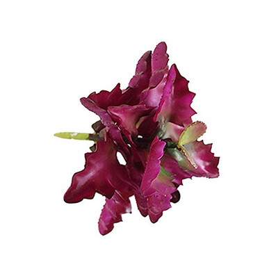 

Simulation Succulents Branched Multi-bud Plant Wall Decoration Flowers Potted Bonsai Ornaments