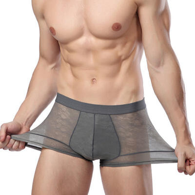 

Ice Silk Underwear Breathable Underpants Sexy Ultra-thin Summer Men Underwear Man Panties