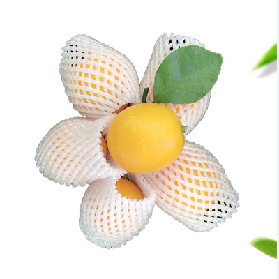 

YI WANG QING SHEN Vegetable Strawberry Packaging Fruit Shockproof Wearable Plastic Foam Pearl Cotton Protection Net Set 55