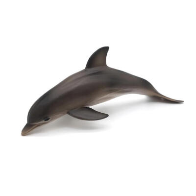 

Simulation Marine Animal Solid PVC Dolphin Model Toy Kids Educational Toys